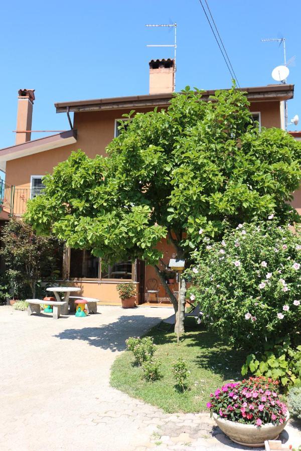 Ferienwohnung Casa Flora Treppo Grande Exterior foto